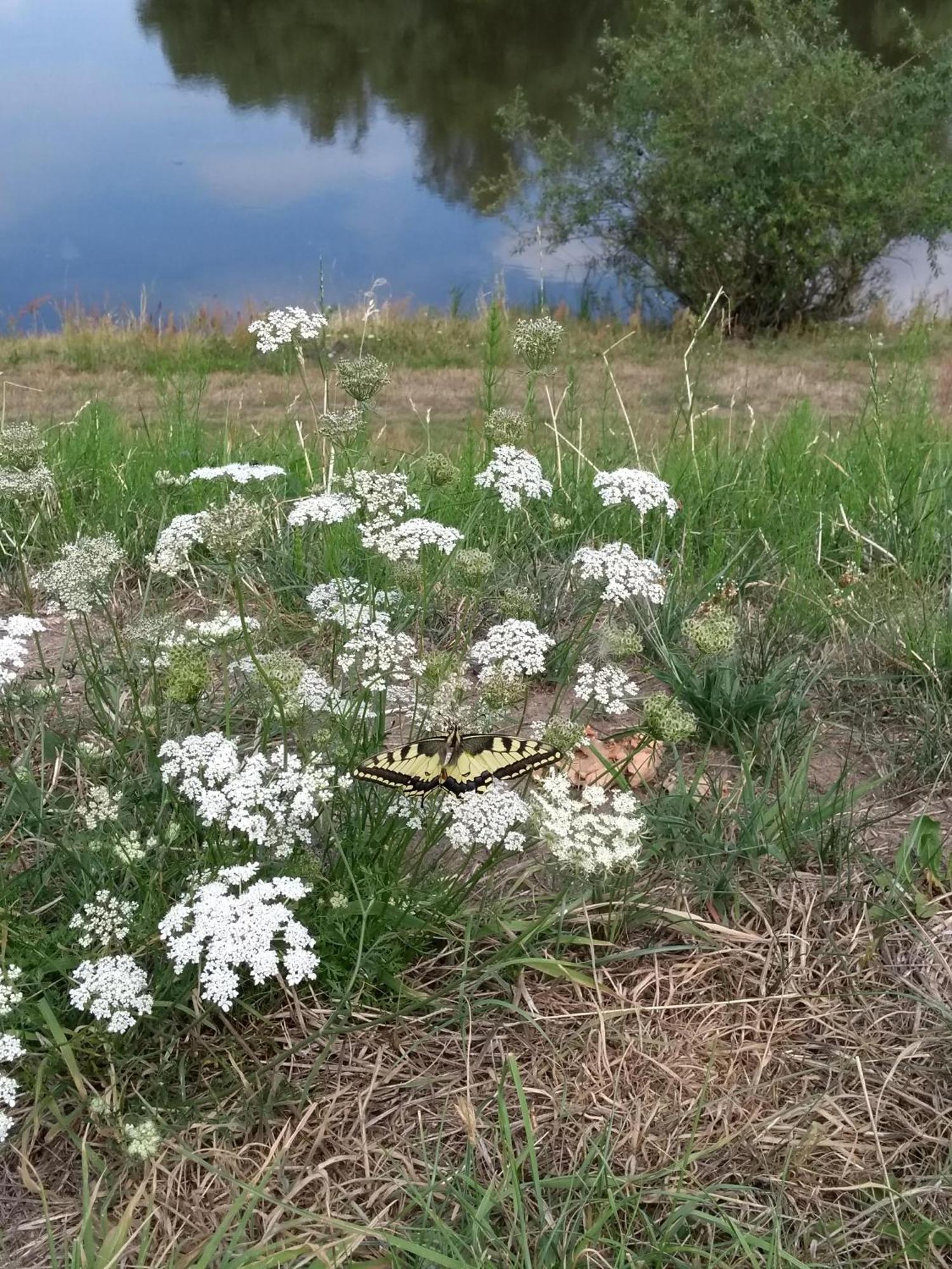Kroetenhof Barfoerde Barforde Zewnętrze zdjęcie